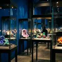 Best Galleries at the Natural History Museum