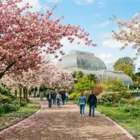 When Is the Best Time to Visit Kew Gardens?