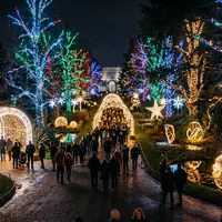 What Are the Christmas Lights at Kew?