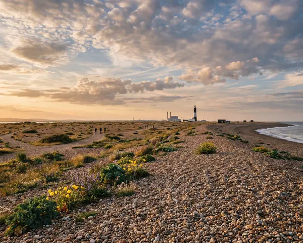 Dungeness Nature Reserve