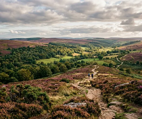 How Big Is Hampstead Heath?