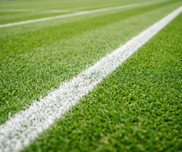 Why Is Wimbledon Played on Grass?