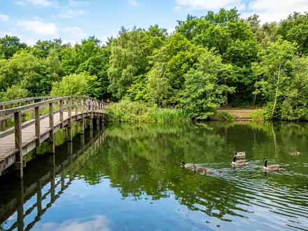 Connaught Water Lake