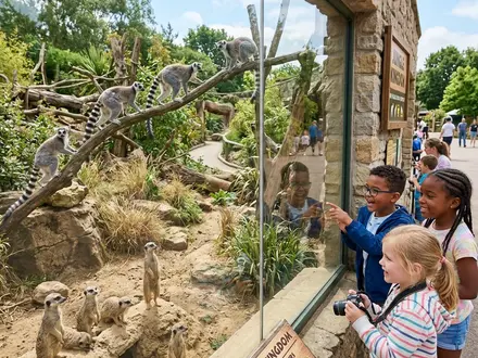 Jungle Kingdom Zoo and Animal Encounters