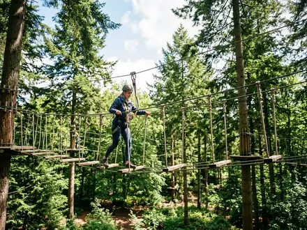 Go Ape Treetop Adventures