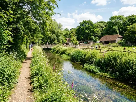 Gardens & Wandle Trail