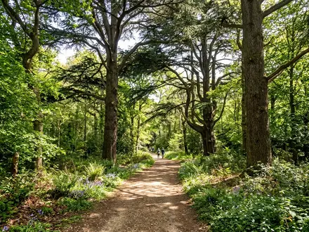 The Grotto and Woodland Walks
