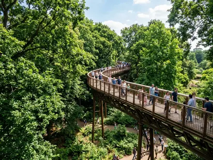 Treetop Walkway