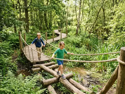 Wild Walk Adventure Trail