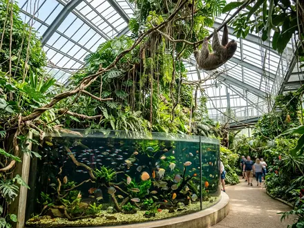 Energy for Life Tropical House