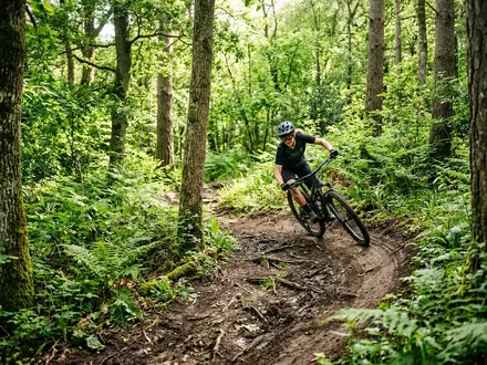 Mountain Bike Trails