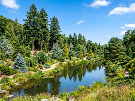 The National Conifer Collection