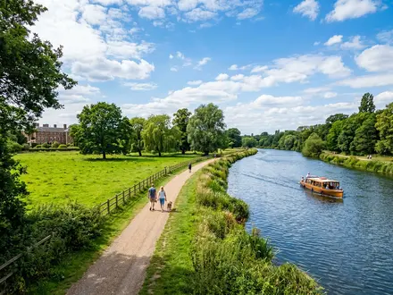 The Wilderness & Grounds