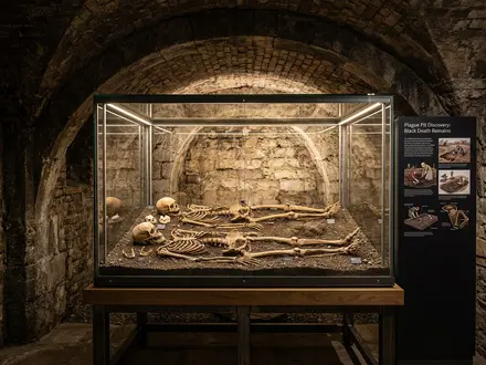 The Plague Pit Discovery