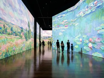 Colour in Motion Gallery