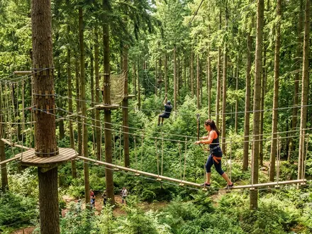 Go Ape Treetop Adventures