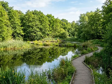 Local Nature Reserve