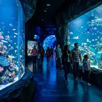 How Long Does Sea Life London Take?