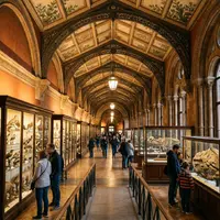 How Long Do You Need at the Natural History Museum?