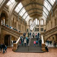 Is the Natural History Museum Free?