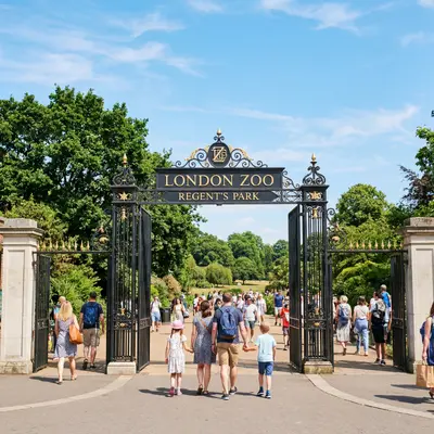 London Zoo