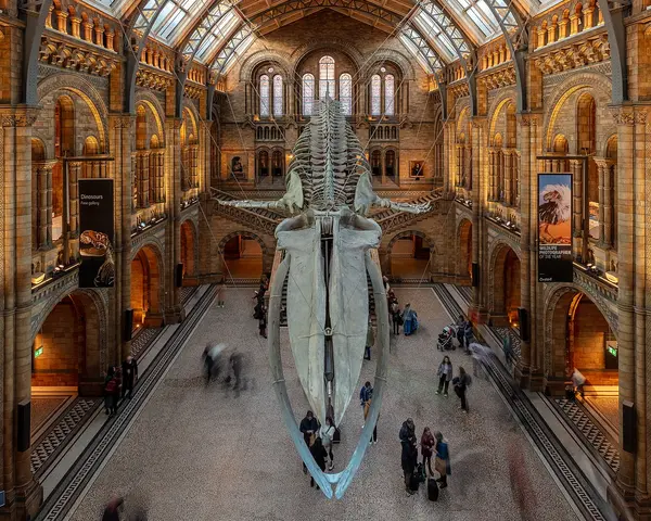 Natural History Museum