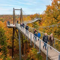 What Is the Treetop Walkway at Kew?